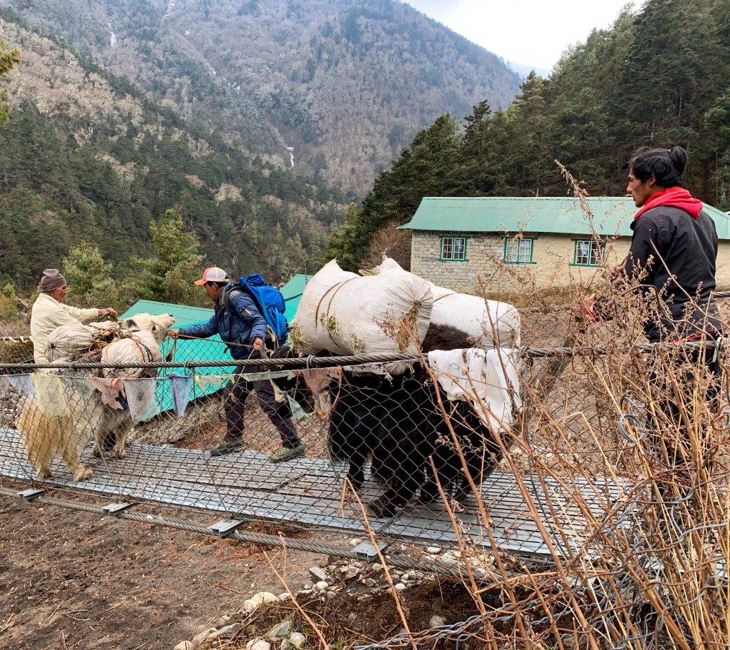 In attesa che gli yak attraversino un ponte sospeso. Foto archivio Omar di Felice
