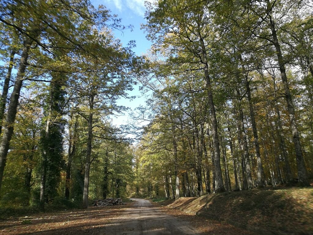 Foto FB Riserva Biosfera Collemeluccio-Montedimezzo Alto Molise