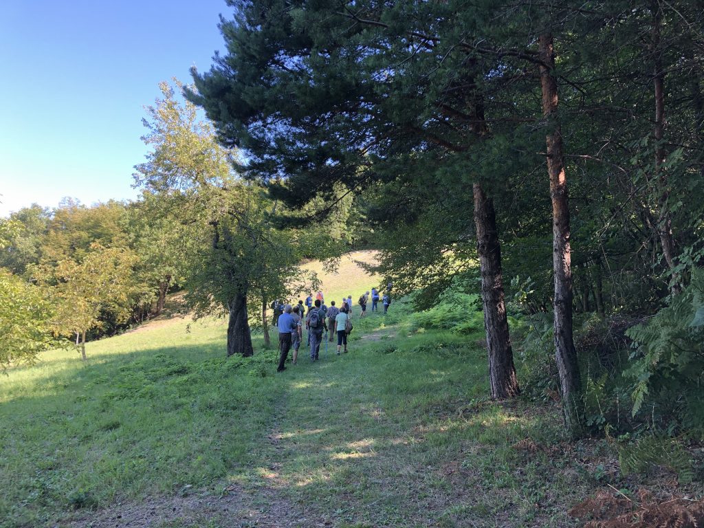 Sessione di Terapia forestale al Monte Duro. Foto Francesco Meneguzzo