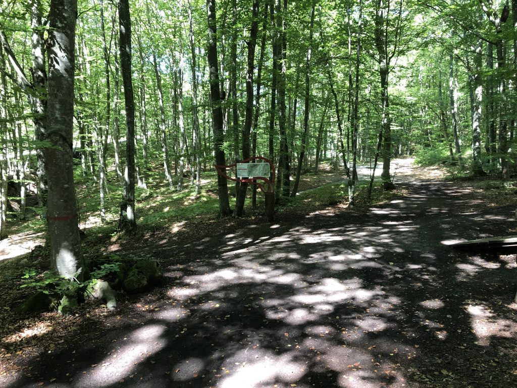 Bosco del Respiro - Fai della Paganella. Foto Francesco Meneguzzo