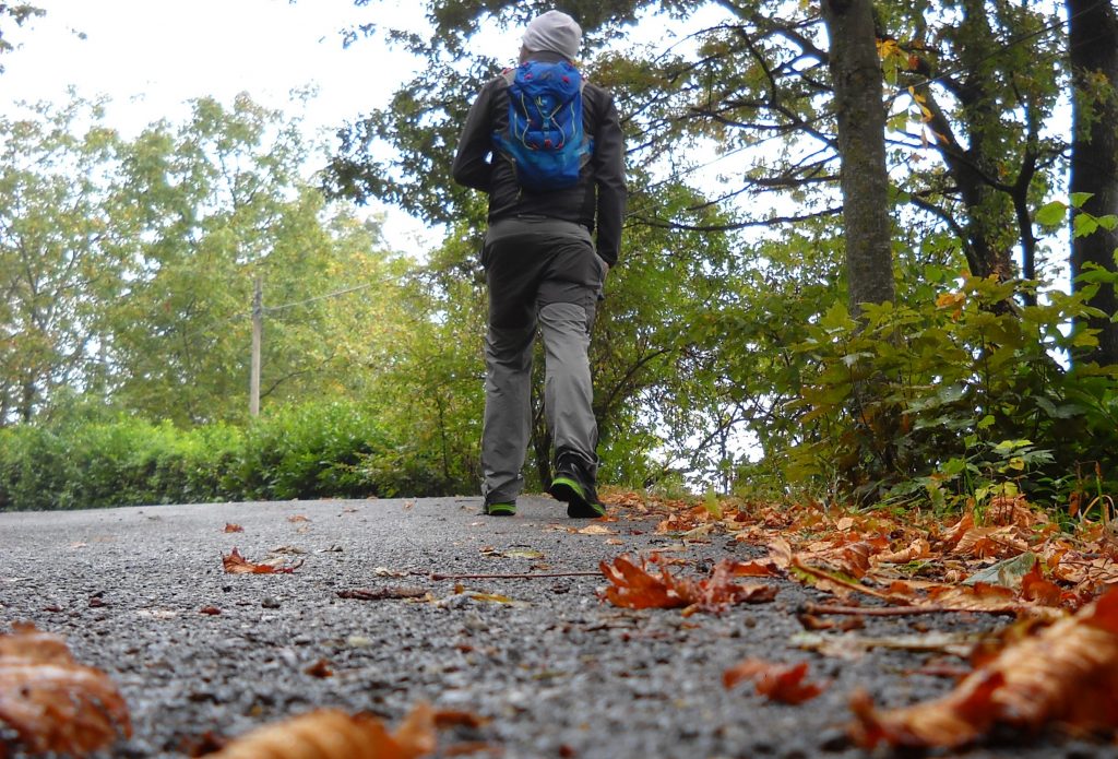 Salendo verso la Pietra di Bismantova nel 2016. Foto Gian Luca Gasca