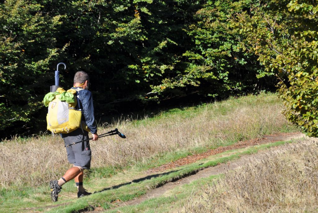 Tra il Monte Falterona e il Monte Falco