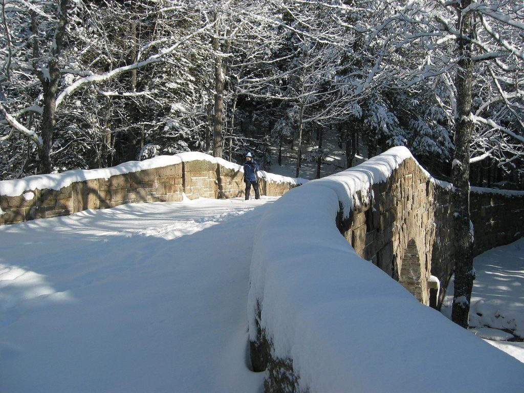 Passeggiata sulla neve. 