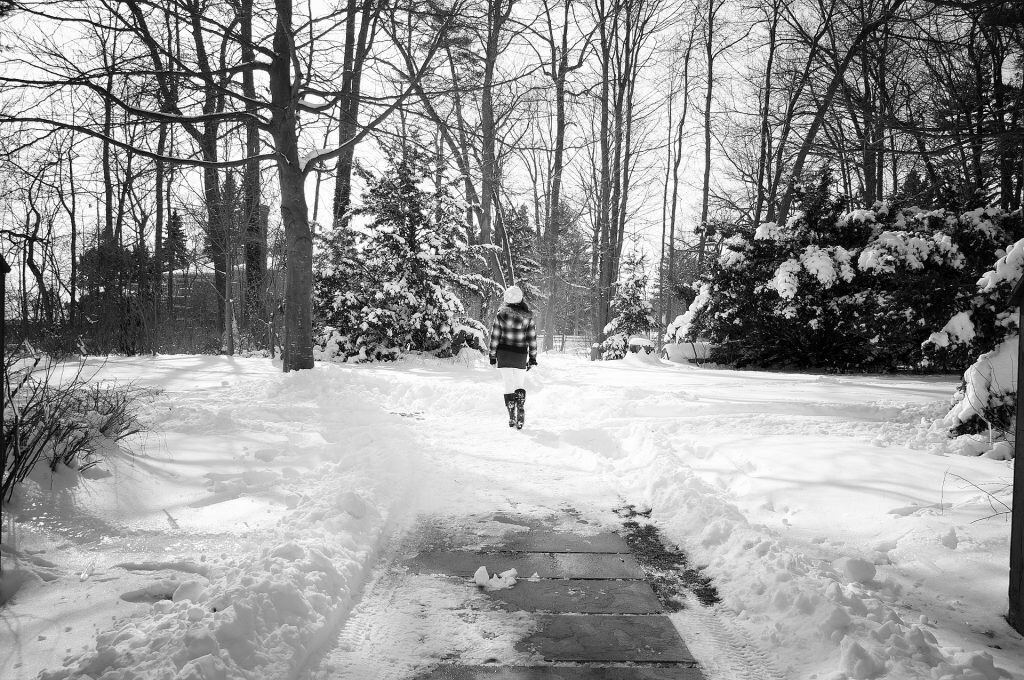 In un parco cittadino, su un sentiero ghiacciato.