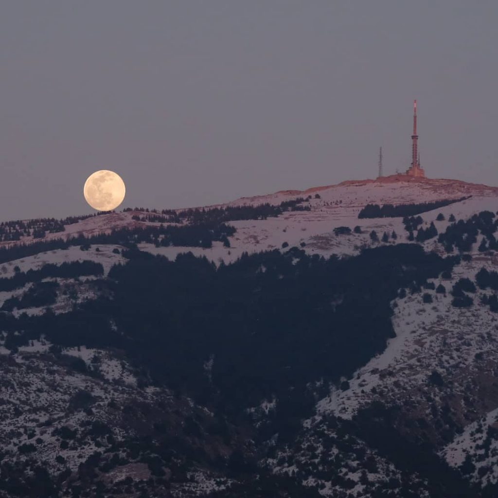 La snow moon sorge sulla foresta di cedri di Maasser el Chouf, Libano - Foto Lama Riman (IG @lamasrimanphotography)