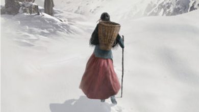Photo of Le Portatrici carniche: storia di donne tra le vette e la Grande Guerra