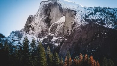 Photo of Half Dome. Il video da brivido della prima discesa integrale sugli sci