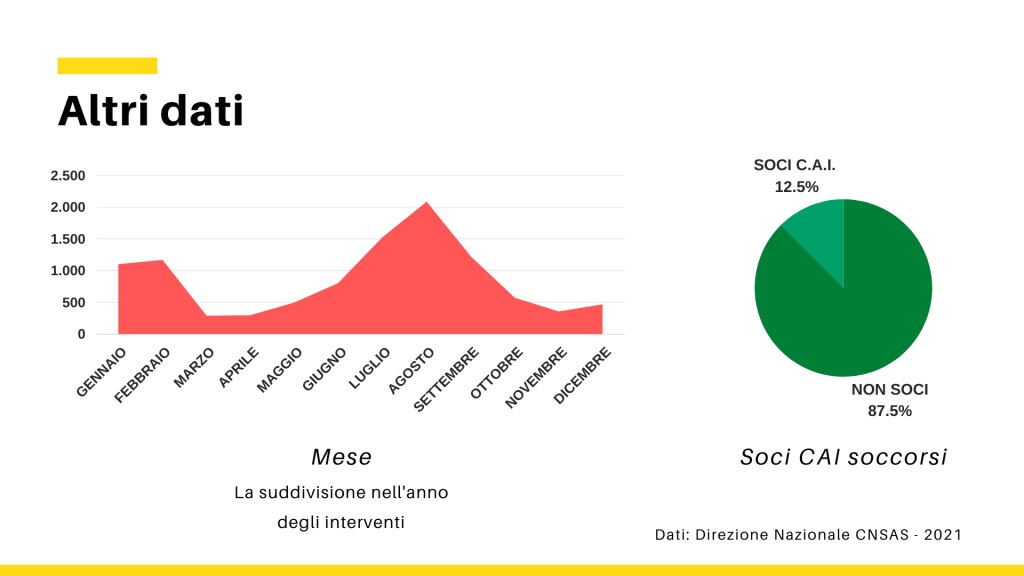 Dati 2020 CNSAS
