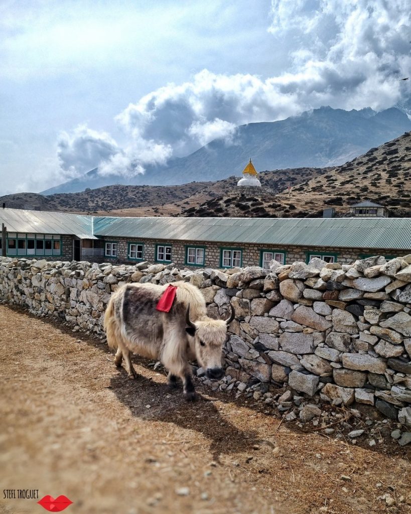 Dingboche - Foto FB Stefi Troguet