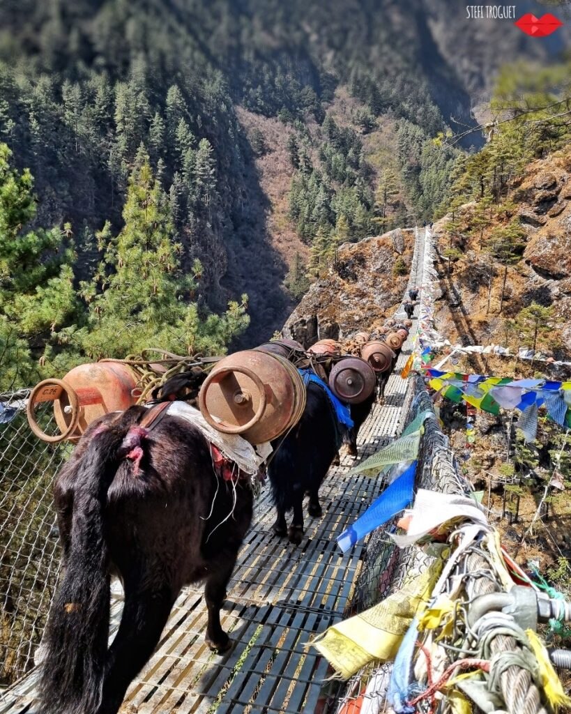 Namche Bazar - Foto FB Stefi Troguet