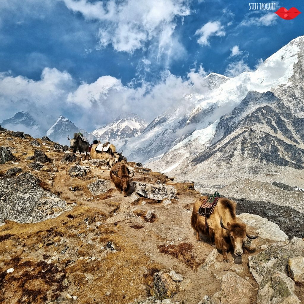 CB Everest - Foto FB Stefi Troguet