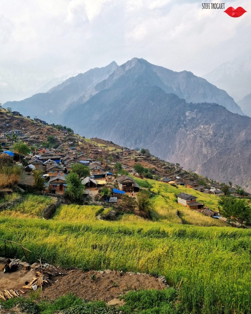 Mudi - Foto FB Stefi Troguet