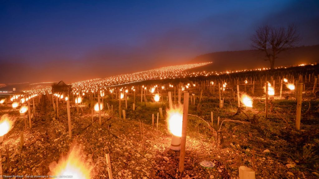 Falò a Chablis - Foto FB Titouan Rimbault Photographe - Auxerre