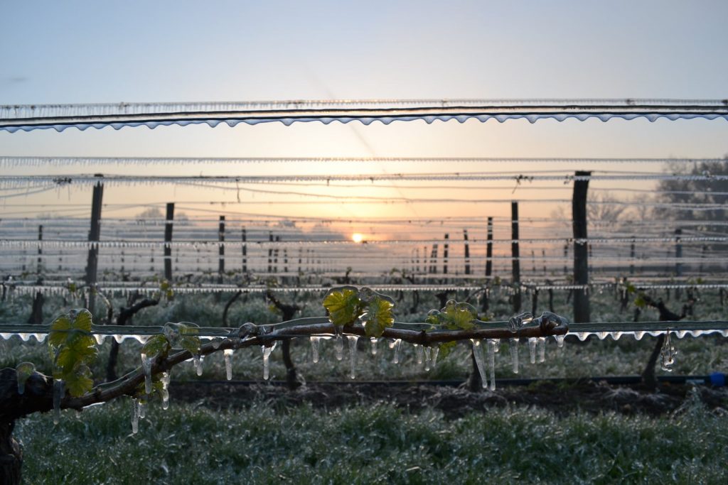 Sistemi antibrina - Foto FB Château Haut Lamouthe