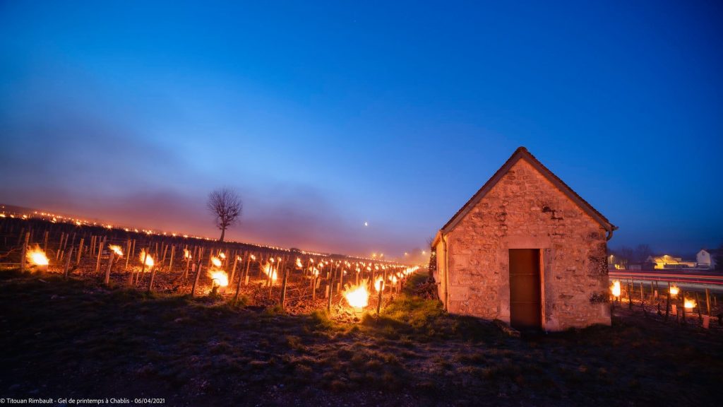 Falò a Chablis - Foto FB Titouan Rimbault Photographe - Auxerre