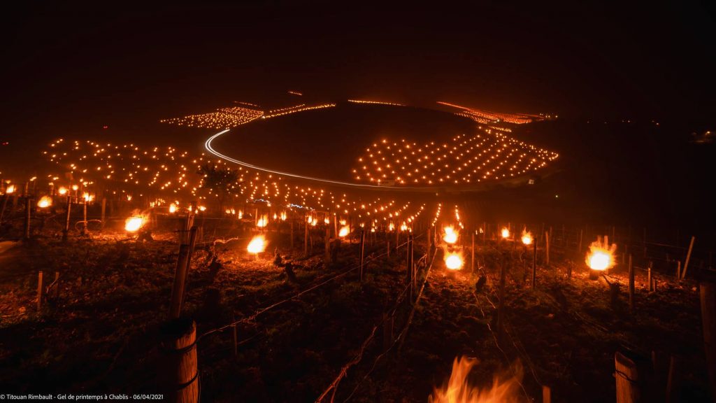 Falò a Chablis - Foto FB Titouan Rimbault Photographe - Auxerre