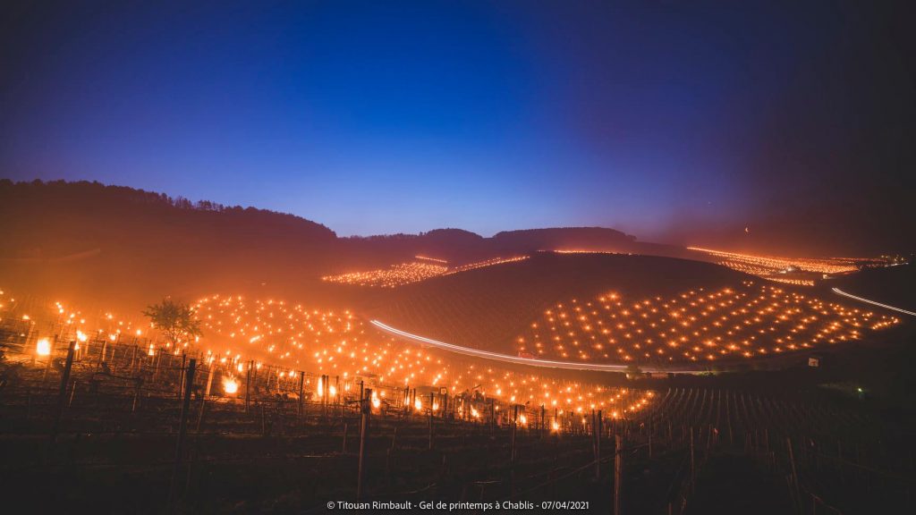Falò a Chablis - Foto FB Titouan Rimbault Photographe - Auxerre