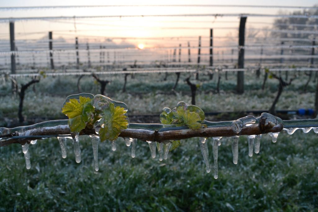 Sistemi antibrina - Foto FB Château Haut Lamouthe