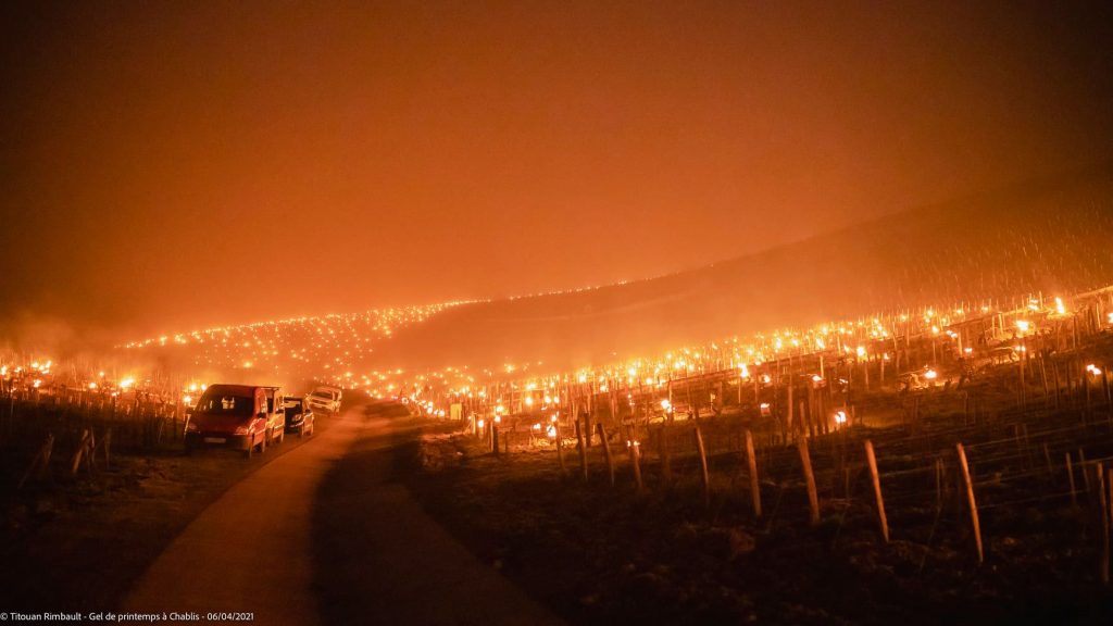 Falò a Chablis - Foto FB Titouan Rimbault Photographe - Auxerre