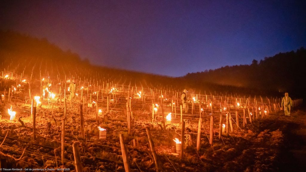 Fuochi a Chablis - Foto FB Titouan Rimbault Photographe - Auxerre