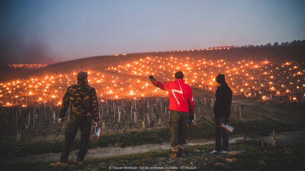 Falò a Chablis - Foto FB Titouan Rimbault Photographe - Auxerre