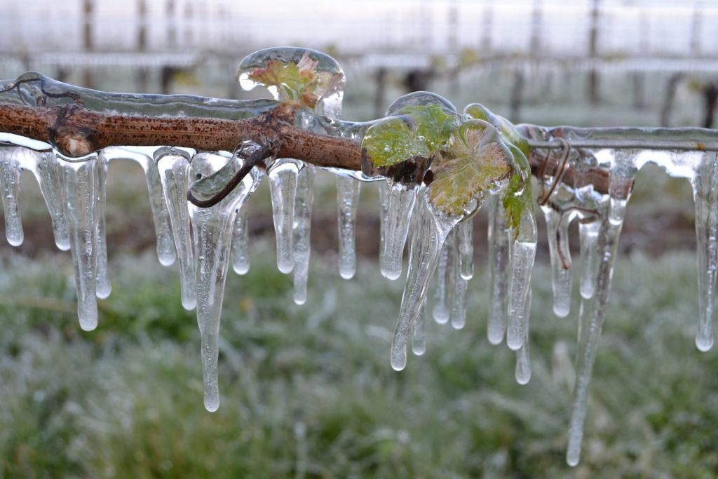 Irrigazione antibrina - Foto FB Château Haut Lamouthe