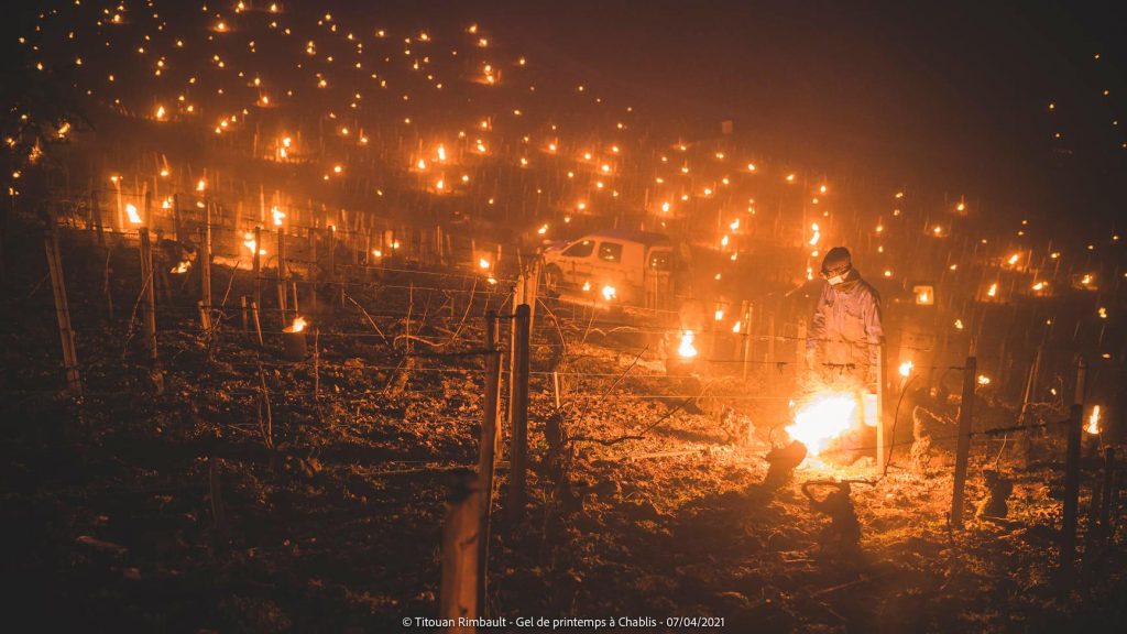 Fuochi a Chablis - Foto FB Titouan Rimbault Photographe - Auxerre