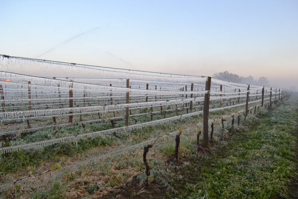 Sistemi antibrina - Foto FB Château Haut Lamouthe