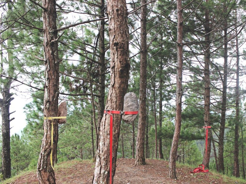 Nicoletta Aveni & Elisabetta Trussoni, "sup-Portare”, rendering