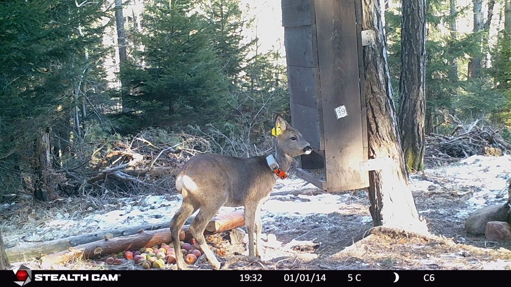 Foto Fondazione Edmund Mach