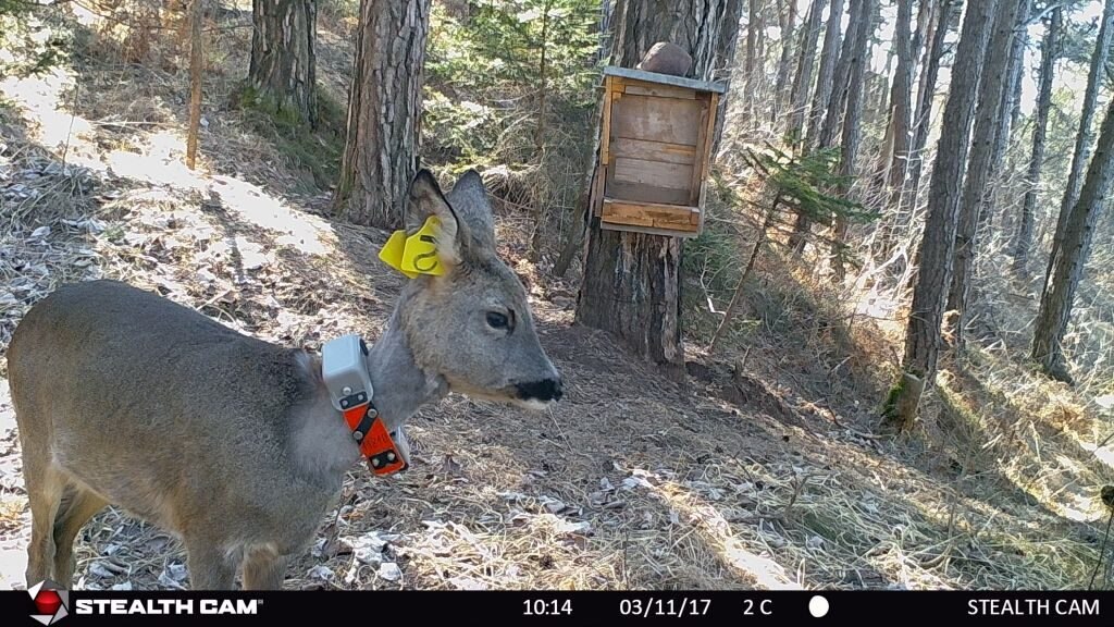 Foto Fondazione Edmund Mach