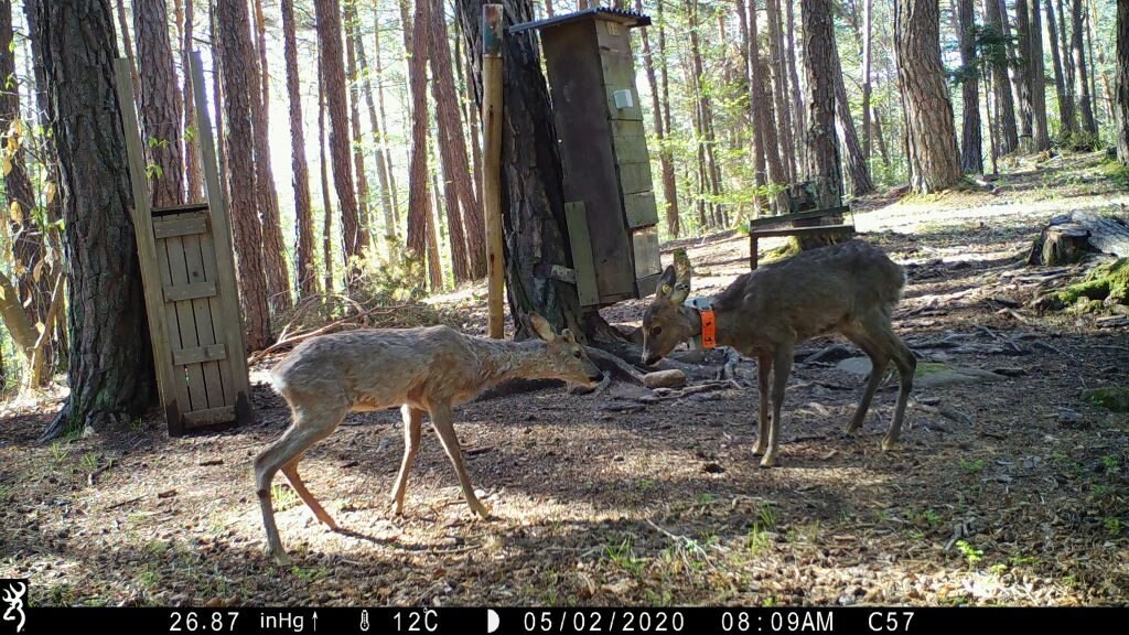 Foto Fondazione Edmund Mach