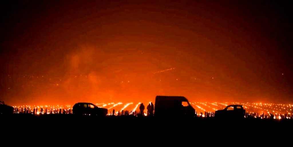 Fuochi antibrina sui vigneti della provincia di Cuneo -
ANSA/ US/ COLDIRETTI CUNEO