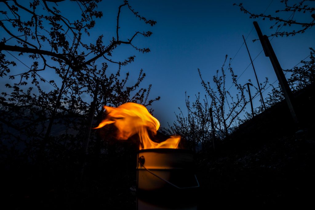 Candele nelle coltivazioni di albicocche in Svizzera - Foto ANSA/EPA/JEAN-CHRISTOPHE BOTT