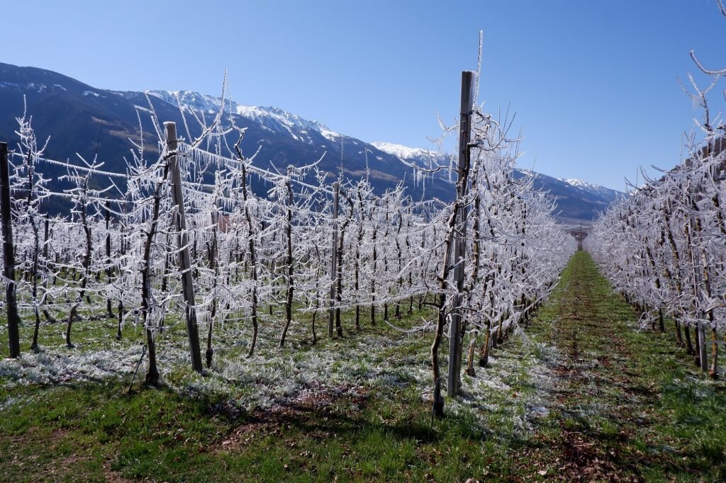 Sistemi antibrina - Copyright VIP