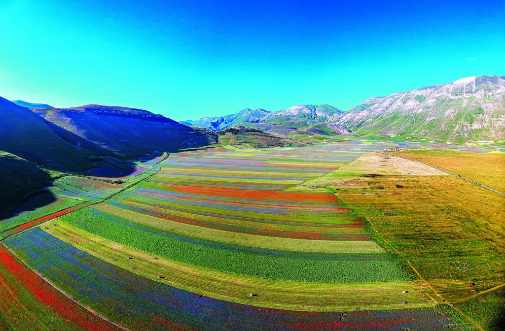 La fioritura di Castelluccio di Norcia vista dal drone - 2020