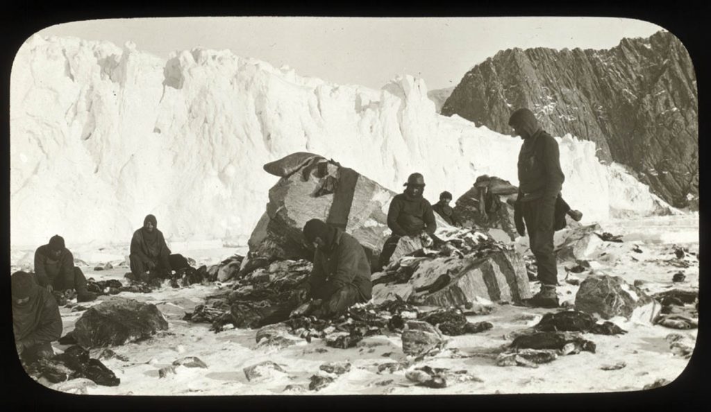 Elephant Island. Foto @ State Library of New South Wales collection