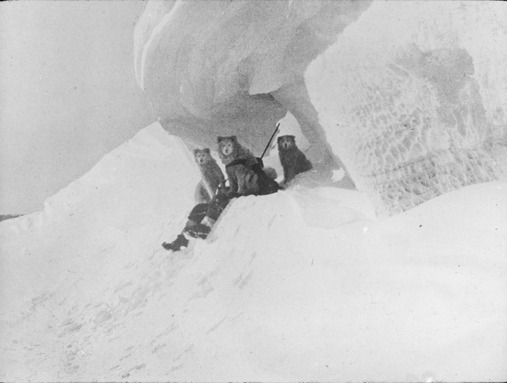 Spedizione Nimrod (1907-09) in Antartide. Foto @ wikimedia commons - Alfred Wegener Institute for Polar and Marine Research