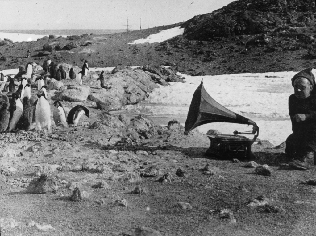 Spedizione Nimrod (1907-09) in Antartide. Foto @ wikimedia commons - Alfred Wegener Institute for Polar and Marine Research