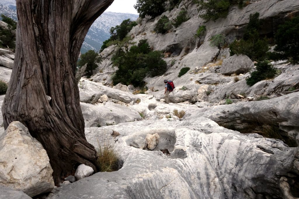 Sardegna - CODULA DORONE - foto @ Pierluigi Bellavite