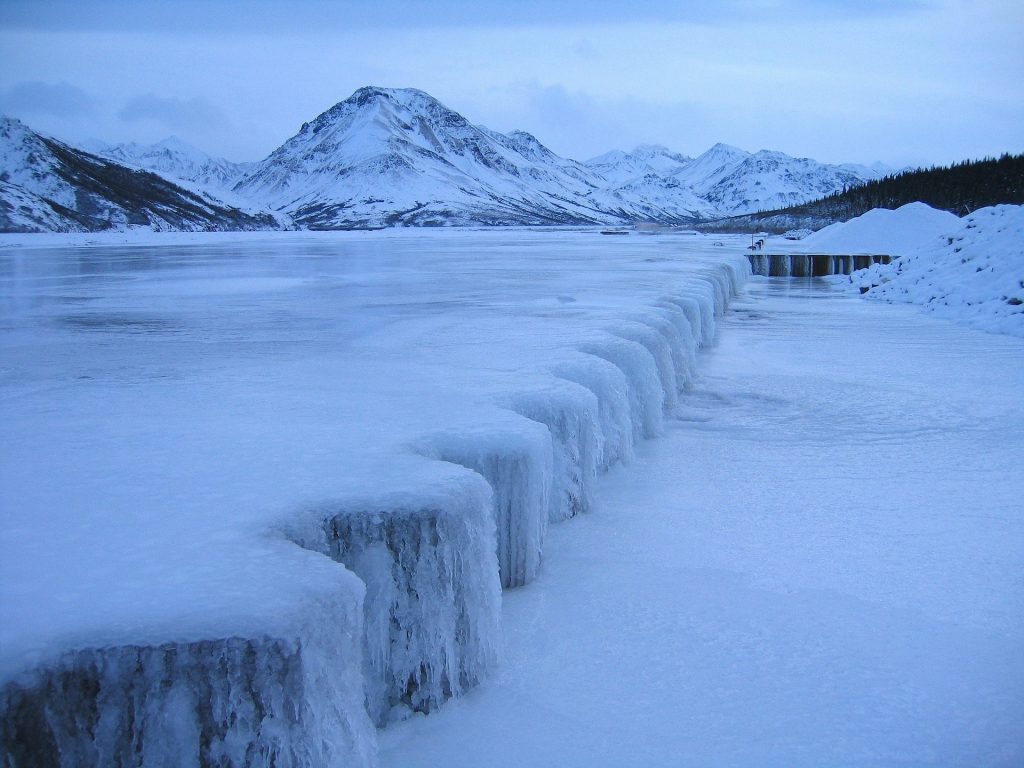 Parco Nazionale del Denali - Foto David Mark @Pixabay