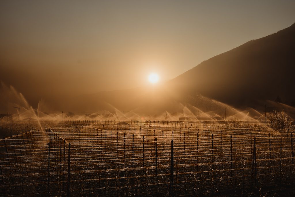 Sistemi antibrina - Copyright VIP - Fotografia di Julia Lesina Debiasi
