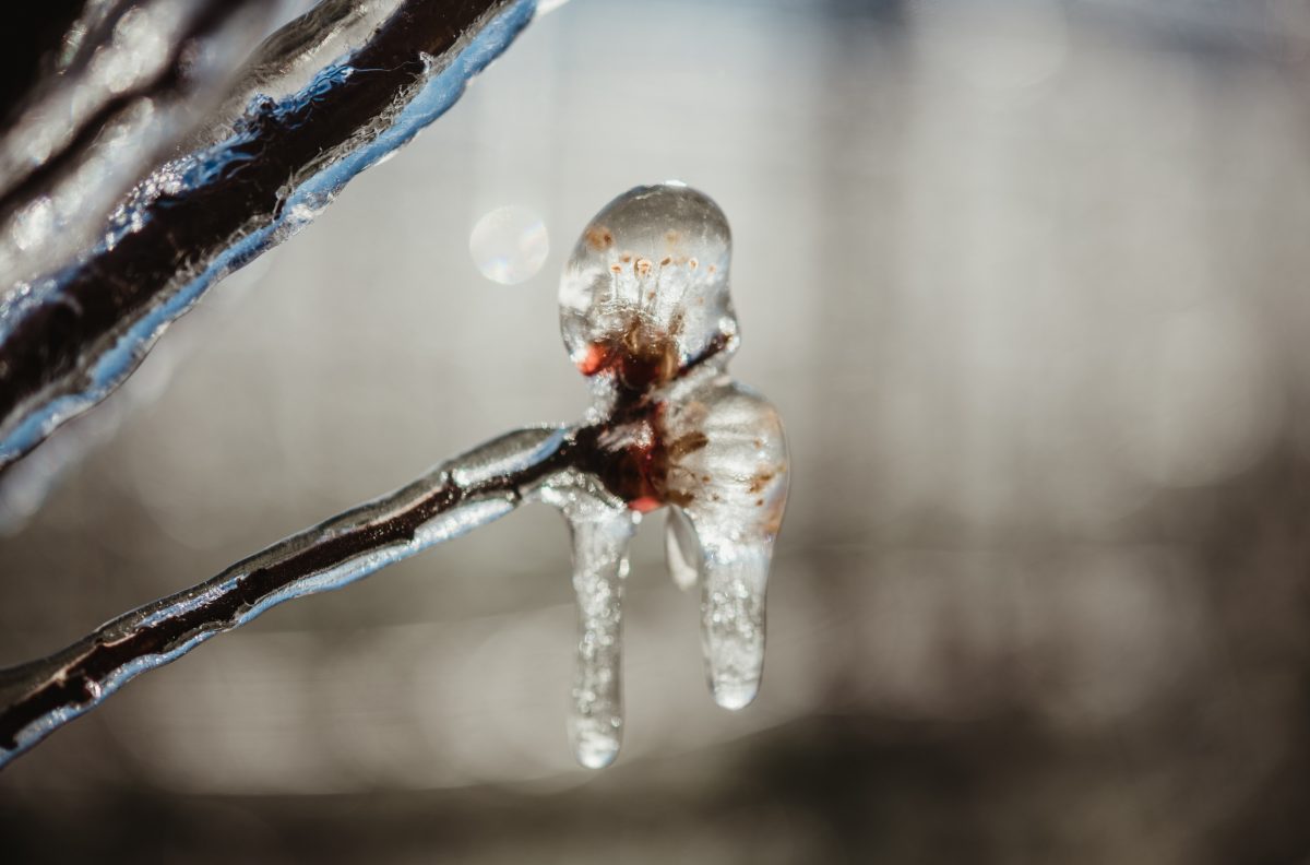 Zerofrost, le valvole ecologiche che proteggono dal gelo