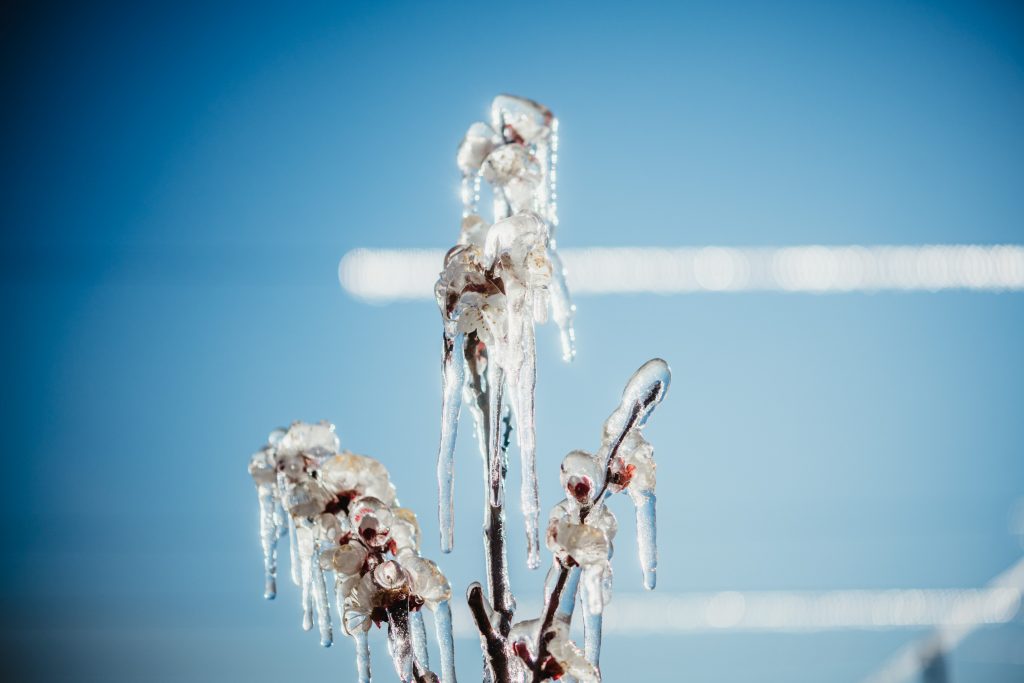 Sistemi antibrina - Copyright VIP - Fotografia di Julia Lesina Debiasi
