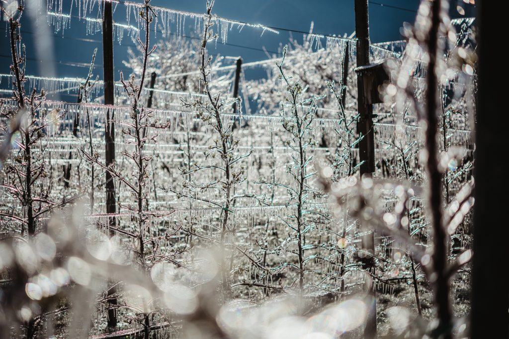 Sistemi antibrina - Copyright VIP - Fotografia di Julia Lesina Debiasi
