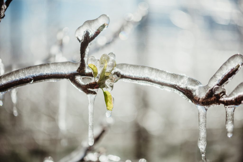 Sistemi antibrina - Copyright VIP - Fotografia di Julia Lesina Debiasi
