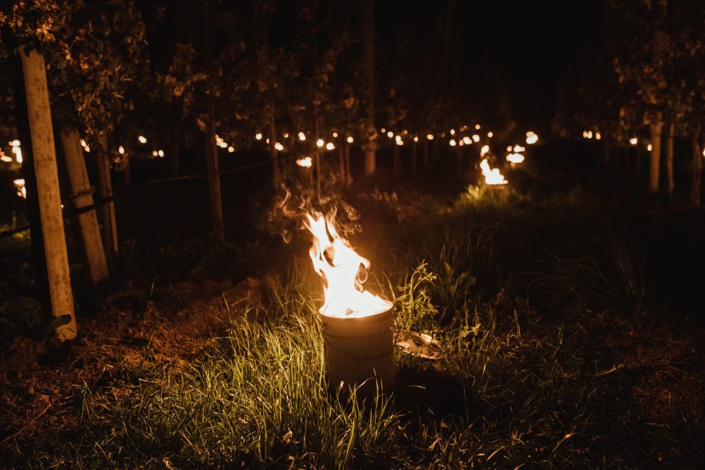 Fuochi antigelo - Copyright VIP - Fotografia di Julia Lesina Debiasi