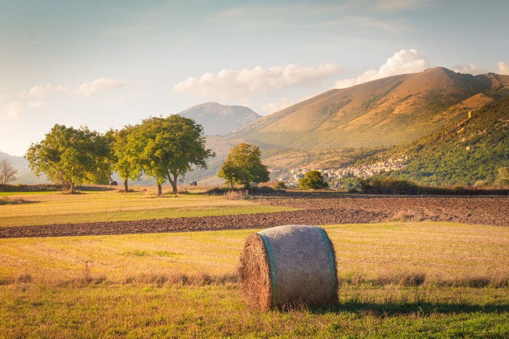 Campi di fieno in Appennino - Foto Fabio Grandis @Pixabay 