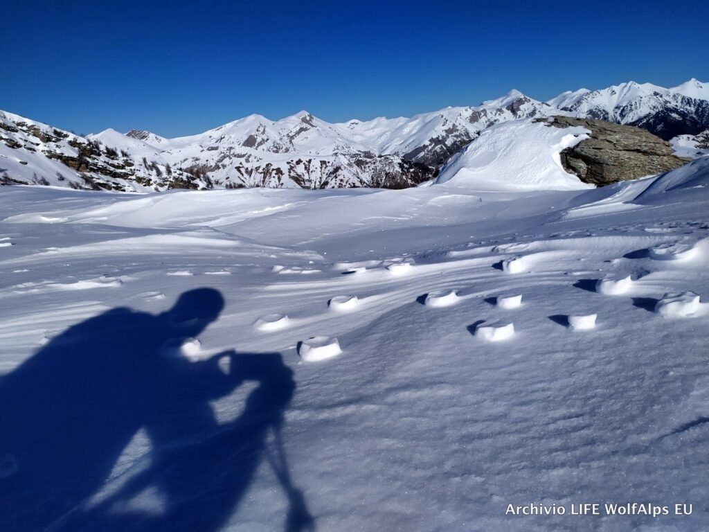 Foto LIFE Wolf Alps EU