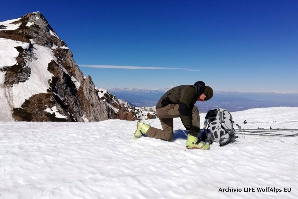 Foto LIFE Wolf Alps EU